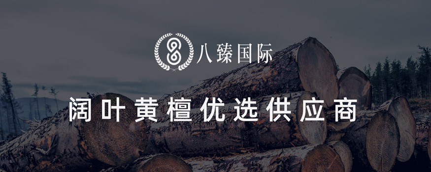 上海八臻國際貿易有限公司